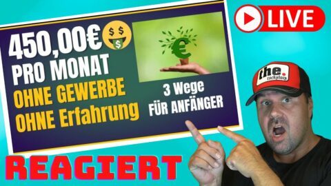 450,00€ PRO MONAT💰🤑💸 Online Geld verdienen OHNE GEWERBE & OHNE ERFAHRUNG (3 Wege)[Reaction]