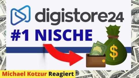 Die BESTE Digistore24 Affiliate Marketing Nische [Reaction] Leon Chaudhari