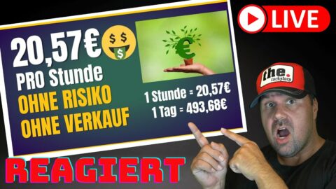 20,57€ PRO STUNDE💰💸 Online Geld verdienen OHNE RISIKO, OHNE STARTKAPITAL & OHNE ERFAHRUNG [Reaction]